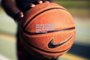 体彩大乐透-周六德甲焦点对决，霍芬海姆主场迎战汉堡，防守稳固性与客场核心力定胜负