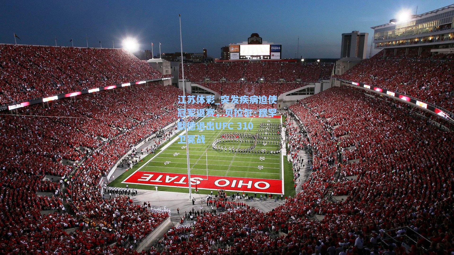 突发疾病迫使冠军退赛,贝拉尔·穆罕默德退出UFC 310卫冕战