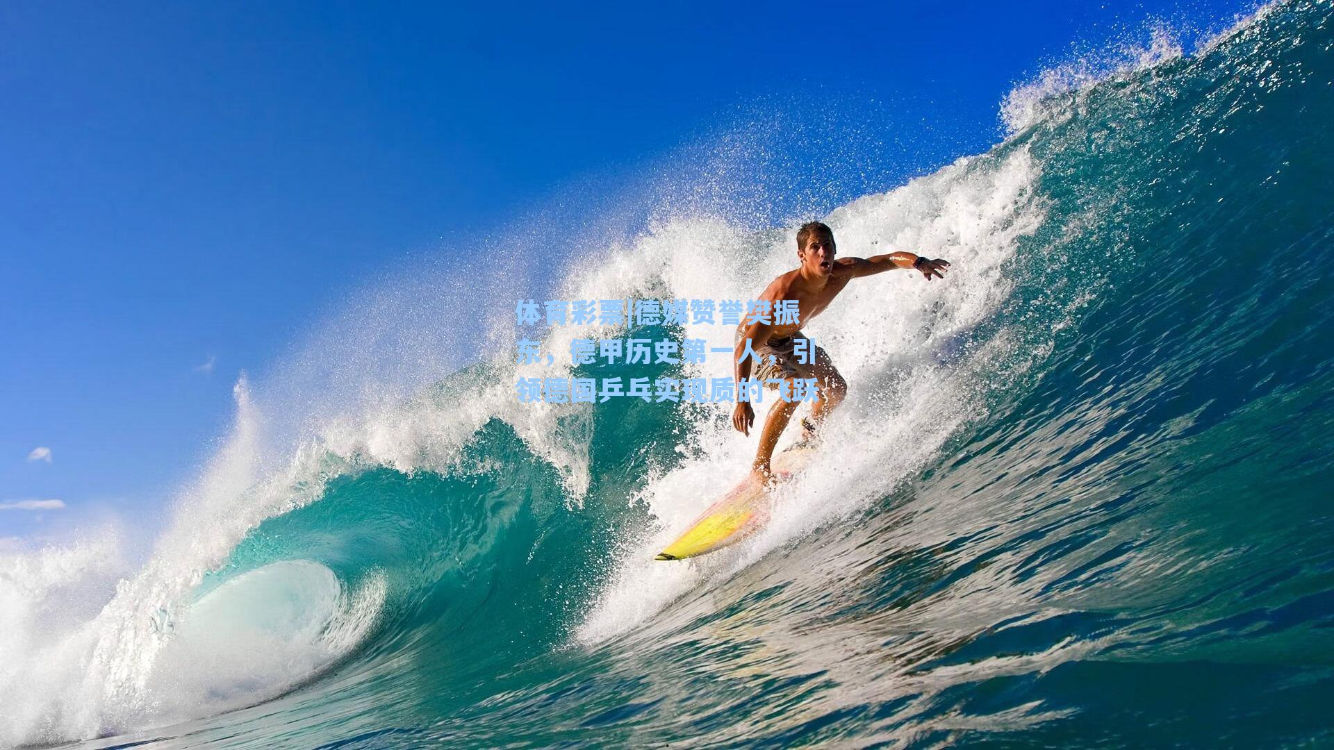 德媒赞誉樊振东，德甲历史第一人，引领德国乒乓实现质的飞跃